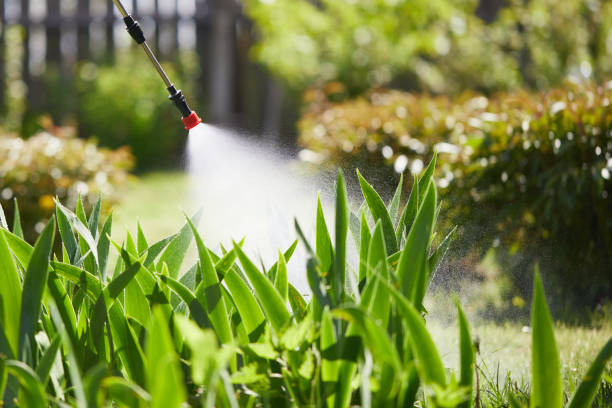 24/7 Emergency Wasp Removal experts in Fredericksburg, VA