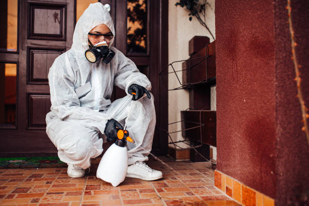 Reliable Wasp Removal contractor in Fredericksburg, VA by Show Me Pest Control
