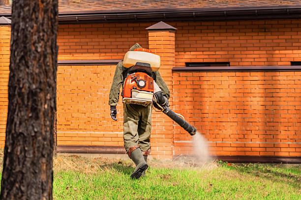 Top rated local Wasp Removal specialists in Fredericksburg, VA